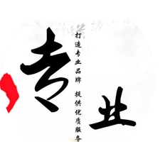 专业·Professional